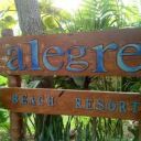 KARL ALEGRE