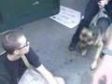 Police intimidation with taser and dog plus abuse of power.